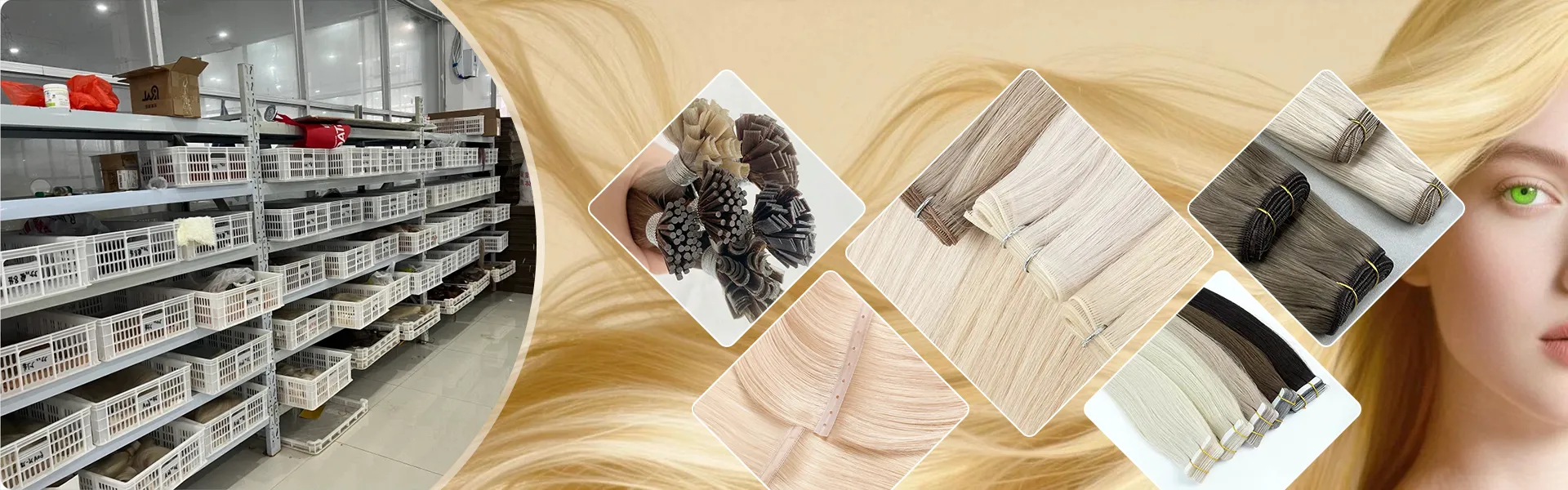 ডাউনলোড করুন